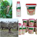 ΓΕΩΡΓΙΚΑ-ΕΦΟΔΙΑ-ΚΟΙΛΑΔΑ-ΚΟΖΑΝΗΣ-ΚΑΚΛΑΜΑΝΟΥ