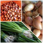 ΓΕΩΡΓΙΚΑ-ΕΦΟΔΙΑ-ΚΟΙΛΑΔΑ-ΚΟΖΑΝΗΣ-ΚΑΚΛΑΜΑΝΟΥ