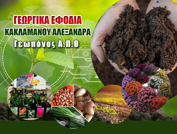 ΓΕΩΡΓΙΚΑ ΕΦΟΔΙΑ ΚΟΙΛΑΔΑ ΚΟΖΑΝΗΣΚΑΚΛΑΜΑΝΟΥ ΑΛΕΞΑΝΔΡΑ