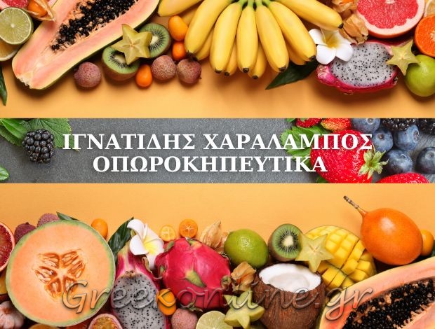 ΕΜΠΟΡΙΟ ΟΠΩΡΟΚΗΠΕΥΤΙΚΩΝ  ΣΚΥΔΡΑ ΠΕΛΛΑΣ  ΙΓΝΑΤΙΔΗΣ ΧΑΡΑΛΑΜΠΟΣ