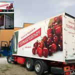 ΧΟΝΔΡΙΚΟ-ΕΜΠΟΡΙΟ-ΦΡΟΥΤΩΝ-ΠΡΟΑΣΤΙΟ-ΕΔΕΣΣΑ-ΤΣΟΜΛΕΚΤΣΟΓΛΟΥ