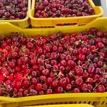 ΧΟΝΔΡΙΚΟ-ΕΜΠΟΡΙΟ-ΦΡΟΥΤΩΝ-ΠΡΟΑΣΤΙΟ-ΕΔΕΣΣΑ-ΤΣΟΜΛΕΚΤΣΟΓΛΟΥ