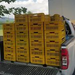 ΧΟΝΔΡΙΚΟ-ΕΜΠΟΡΙΟ-ΦΡΟΥΤΩΝ-ΠΡΟΑΣΤΙΟ-ΕΔΕΣΣΑ-ΤΣΟΜΛΕΚΤΣΟΓΛΟΥ