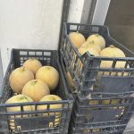 ΟΠΩΡΟΠΩΛΕΙΟ-ΣΕΡΡΕΣ-ΤΟ-ΜΟΔΙΑΝΟ-ΤΙΤΙΚΟΣ-ΒΑΣΙΛΕΙΟΣ