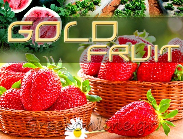 ΟΠΩΡΟΚΗΠΕΥΤΙΚΑ   ΜΠΟΝΤΕΪΚΑ ΑΧΑΪΑΣ  “GOLD FRUIT”  GOLD FRUIT IMPORT EXPORT ΜΟΝ ΙΚΕ