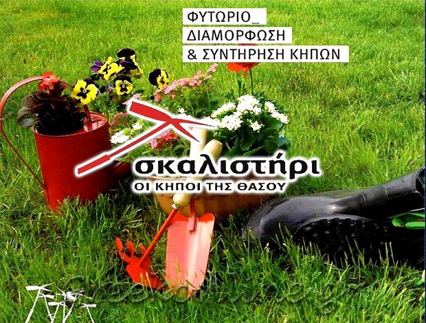 ΦΥΤΩΡΙΟ ΣΚΑΛΑ ΡΑΧΩΝΙΟΥ ΘΑΣΟΣ  “ΣΚΑΛΙΣΤΗΡΙ”  ΙΩΑΝΝΙΔΟΥ ΜΑΡΙΑ Β.