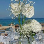 ΨΑΡΟΤΑΒΕΡΝΑ-ΑΦΥΤΟΣ-ΧΑΛΚΙΔΙΚΗΣ-REMENTZO-RESTAURANT