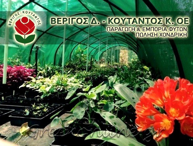 ΧΟΝΔΡΙΚΟ ΕΜΠΟΡΙΟ ΦΥΤΩΝ  ΗΡΑΚΛΕΙΟ ΚΡΗΤΗΣ  ΒΕΡΙΓΟΣ Δ. – ΚΟΥΤΑΝΤΟΣ Κ. Ο.Ε.