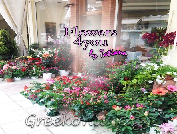ΑΝΘΟΠΩΛΕΙΟ  ΝΕΑ ΜΗΧΑΝΙΩΝΑ ΘΕΣΣΑΛΟΝΙΚΗΣ  “FLOWERS 4 YOU”  ΒΑΚΑΛΟΥΔΗΣ ΑΝΤΩΝΗΣ