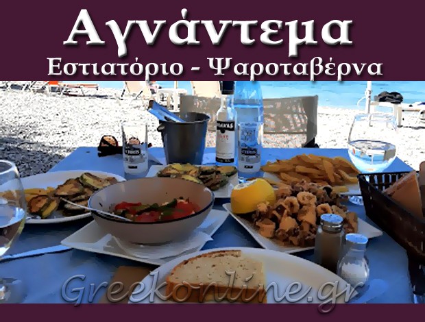 ΨΑΡΟΤΑΒΕΡΝΑ ΑΚΤΑΙΟ ΑΧΑΪΑΣ “ΑΓΝΑΝΤΕΜΑ”  ΣΑΚΚΟΥΛΗ ΕΛΕΝΗ