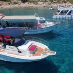 ΘΑΛΑΣΣΙΕΣ-ΕΚΔΡΟΜΕΣ-ΠΛΑΤΑΝΙΑΣ-ΧΑΝΙΩΝ-SEA-KING-ADVENTURES