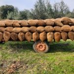 ΕΛΑΙΟΤΡΙΒΕΙΟ-ΦΙΛΙΑΤΡΑ-ΣΤΑΘΟΠΟΥΛΟΣ-ΠΑΝΑΓΙΩΤΗΣ