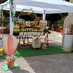 Organosi-Gamou-Vaptisis-Ampelokipoi-Akel-Creations-n(3)