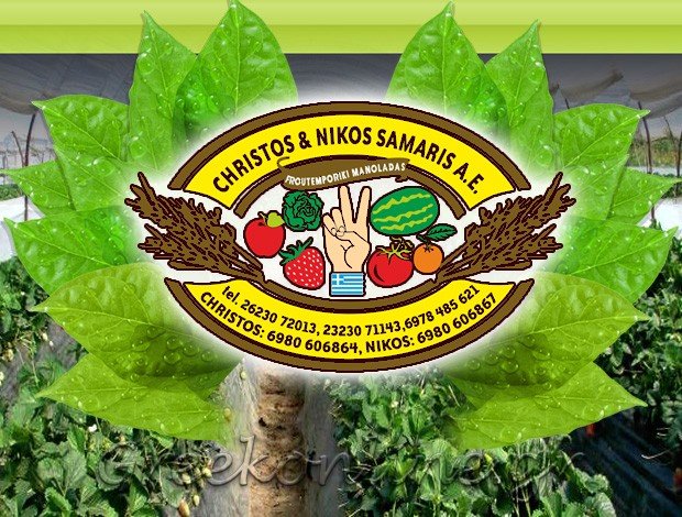 ΑΓΡΟΤΙΚΑ ΠΡΟΪΟΝΤΑ ΜΑΝΩΛΑΔΑ ΗΛΕΙΑΣ  ΣΑΜΑΡΗΣ ΑΕ