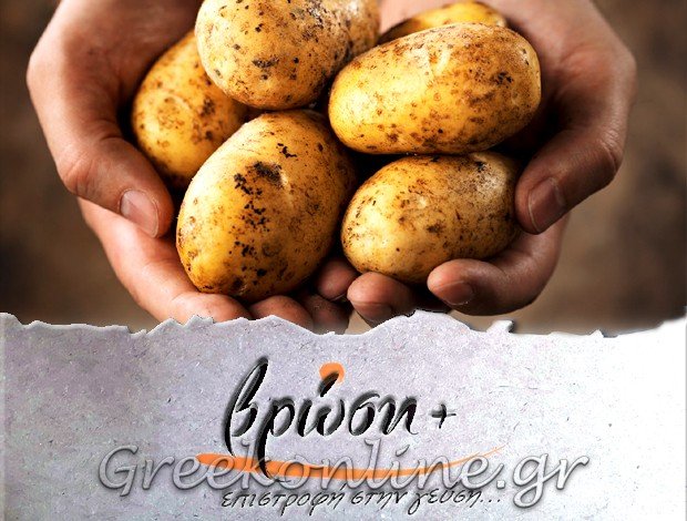 ΚΑΤΕΨΥΓΜΕΝΑ ΠΡΟΪΟΝΤΑ ΣΕΡΡΕΣ “ΒΡΩΣΗ” ΓΕΩΡΓΙΑΔΟΥ ΑΝΑΣΤΑΣΙΑ