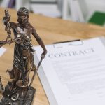 ΔΙΚΗΓΟΡΟΣ-ΝΑΥΠΛΙΟ-ΤΖΑΝΝΕΤΟΥΛΑΚΟΥ-ΑΙΚΑΤΕΡΙΝΗ