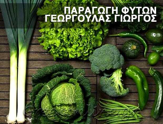 ΠΑΡΑΓΩΓΗ ΦΥΤΩΝ ΕΠΑΝΟΜΗ ΘΕΣΣΑΛΟΝΙΚΗΣ ΓΕΩΡΓΟΥΛΑΣ ΓΙΩΡΓΟΣ