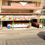 ΟΠΩΡΟΠΩΛΕΙΟ-ΝΕΑ-ΑΡΤΑΚΗ-ΕΥΒΟΙΑΣ-ΓΡΑΜΜΑΤΙΚΟΣ