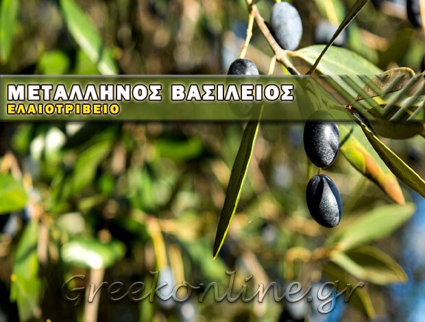ΕΛΑΙΟΤΡΙΒΕΙΟ ΑΝΩ ΚΟΡΑΚΙΑΝΑ ΚΕΡΚΥΡΑΣ  ΜΕΤΑΛΛΗΝΟΣ ΒΑΣΙΛΕΙΟΣ Σ.