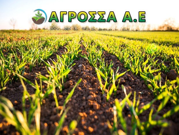 ΧΟΝΔΡΙΚΟ ΕΜΠΟΡΙΟ  ΦΡΟΥΤΩΝ – ΛΑΧΑΝΙΚΩΝ  ΓΙΑΝΝΙΤΣΑ ΠΕΛΛΑΣ  ΑΓΡΟΣΣΑ Α.Ε.
