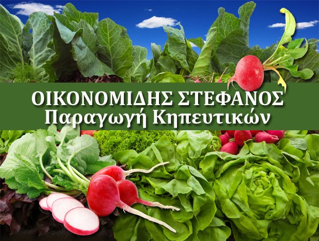 ΠΑΡΑΓΩΓΗ – ΕΜΠΟΡΙΟ ΟΠΩΡΟΚΗΠΕΥΤΙΚΩΝ  ΜΑΡΑΘΩΝΑΣ ΑΤΤΙΚΗΣ  “TERRA MARA”  ΟΙΚΟΝΟΜΙΔΗΣ ΣΤΕΦΑΝΟΣ ΕΕ