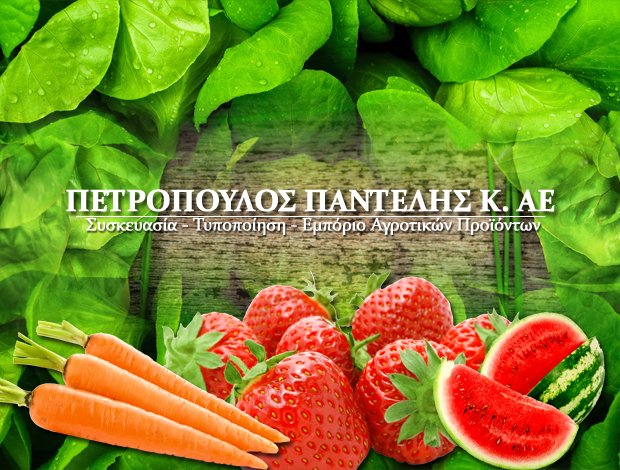 ΧΟΝΔΡΙΚΟ ΕΜΠΟΡΙΟ ΟΠΩΡΟΚΗΠΕΥΤΙΚΩΝ ΛΕΧΑΙΝΑ ΗΛΕΙΑΣ ΠΕΤΡΟΠΟΥΛΟΣ ΠΑΝΤΕΛΗΣ ΑΕ