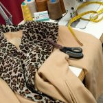 ΚΑΘΑΡΙΣΤΗΡΙΟ-ΛΑΓΟΝΗΣΙ-FINEZZATO-ΔΕΜΟΙΡΑΚΟΥ