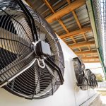 ΒΙΟΜΗΧΑΝΙΚΗ-ΨΥΞΗ-ΡΟΔΟΣ-ΓΕΝΙΚΗ-ΨΥΚΤΙΚΗ-ΡΟΔΟΥ