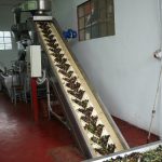 ΕΛΑΙΟΤΡΙΒΕΙΟ-ΜΥΤΙΚΑΣ-ΧΑΛΚΙΔΑΣ-ATTIKA-OLIVE-OIL-EXPORT