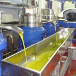 ΕΛΑΙΟΤΡΙΒΕΙΟ-ΜΥΤΙΚΑΣ-ΧΑΛΚΙΔΑΣ-ATTIKA-OLIVE-OIL-EXPORT
