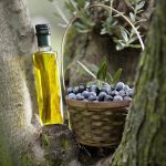 ΕΛΑΙΟΤΡΙΒΕΙΟ-ΚΑΙΝΟΥΡΓΙΟ-ΑΙΤΩΛΟΑΚΑΡΝΑΝΙΑΣ-ΨΗΛΟΣ