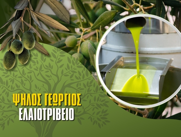 ΕΛΑΙΟΤΡΙΒΕΙΟ  ΚΑΙΝΟΥΡΓΙΟ ΑΙΤΩΛΟΑΚΑΡΝΑΝΙΑΣ  ΨΗΛΟΣ ΓΕΩΡΓΙΟΣ