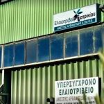 ΕΛΑΙΟΤΡΙΒΕΙΑ-ΠΑΤΡΙΚΙΟΥ-ΠΑΤΡΙΚΙ-ΝΙΓΡΙΤΑ-ΑΡΒΑΝΙΤΙΔΗΣ