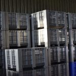 ΕΛΑΙΟΤΡΙΒΕΙΑ-ΠΑΤΡΙΚΙΟΥ-ΠΑΤΡΙΚΙ-ΝΙΓΡΙΤΑ-ΑΡΒΑΝΙΤΙΔΗΣ