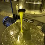 ΕΛΑΙΟΤΡΙΒΕΙΑ-ΠΑΤΡΙΚΙΟΥ-ΠΑΤΡΙΚΙ-ΝΙΓΡΙΤΑ-ΑΡΒΑΝΙΤΙΔΗΣ