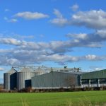 ΕΛΑΙΟΤΡΙΒΕΙΑ-ΠΑΤΡΙΚΙΟΥ-ΠΑΤΡΙΚΙ-ΝΙΓΡΙΤΑ-ΑΡΒΑΝΙΤΙΔΗΣ