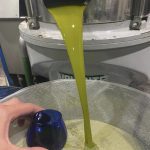 ΕΛΑΙΟΤΡΙΒΕΙΑ-ΠΑΤΡΙΚΙΟΥ-ΠΑΤΡΙΚΙ-ΝΙΓΡΙΤΑ-ΑΡΒΑΝΙΤΙΔΗΣ