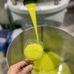 ΕΛΑΙΟΤΡΙΒΕΙΑ-ΠΑΤΡΙΚΙΟΥ-ΠΑΤΡΙΚΙ-ΝΙΓΡΙΤΑ-ΑΡΒΑΝΙΤΙΔΗΣ