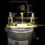 ΕΛΑΙΟΤΡΙΒΕΙΑ-ΠΑΤΡΙΚΙΟΥ-ΠΑΤΡΙΚΙ-ΝΙΓΡΙΤΑ-ΑΡΒΑΝΙΤΙΔΗΣ