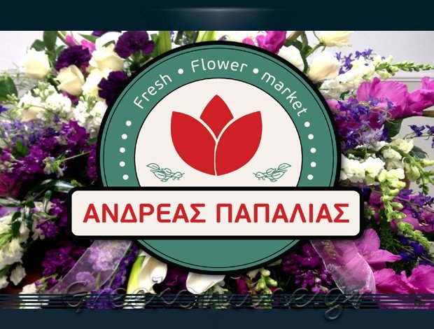 ΑΝΘΟΠΩΛΕΙΟ ΔΙΔΥΜΟΤΕΙΧΟ ΕΒΡΟΥ<BR> ΠΑΠΑΛΙΑΣ ΑΝΔΡΕΑΣ