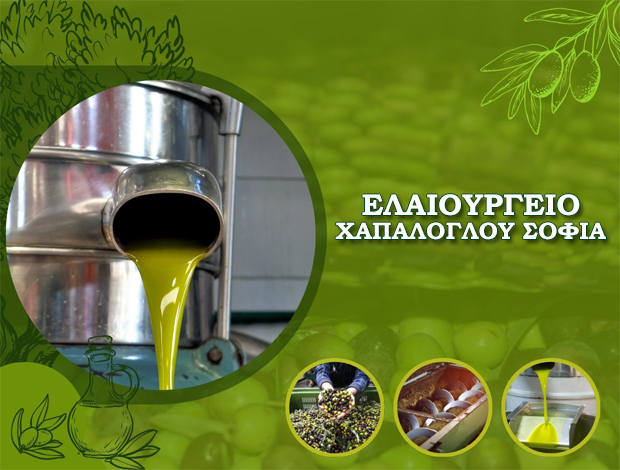 ΕΛΑΙΟΤΡΙΒΕΙΟ ΕΠΙΣΚΟΠΗ ΧΑΝΙΩΝ   ΧΑΠΑΛΟΓΛΟΥ ΣΟΦΙΑ ΕΛΑΙΟΥΡΓΕΙΟ
