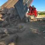 ΕΜΠΟΡΙΟ-ΚΑΥΣΟΞΥΛΩΝ-ΚΟΙΛΑ-ΚΟΖΑΝΗΣ-ΑΠΟΣΤΟΛΙΔΗΣ