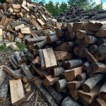 ΕΜΠΟΡΙΟ-ΚΑΥΣΟΞΥΛΩΝ-ΚΟΙΛΑ-ΚΟΖΑΝΗΣ-ΑΠΟΣΤΟΛΙΔΗΣ