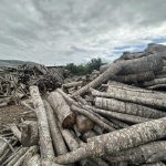 ΕΜΠΟΡΙΟ-ΚΑΥΣΟΞΥΛΩΝ-ΚΟΙΛΑ-ΚΟΖΑΝΗΣ-ΑΠΟΣΤΟΛΙΔΗΣ