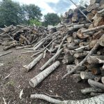 ΕΜΠΟΡΙΟ-ΚΑΥΣΟΞΥΛΩΝ-ΚΟΙΛΑ-ΚΟΖΑΝΗΣ-ΑΠΟΣΤΟΛΙΔΗΣ