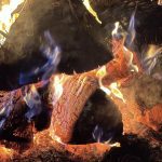 ΕΜΠΟΡΙΟ-ΚΑΥΣΟΞΥΛΩΝ-ΚΟΙΛΑ-ΚΟΖΑΝΗΣ-ΑΠΟΣΤΟΛΙΔΗΣ