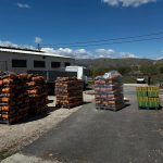 ΕΜΠΟΡΙΟ-ΚΑΥΣΟΞΥΛΩΝ-ΚΟΙΛΑ-ΚΟΖΑΝΗΣ-ΑΠΟΣΤΟΛΙΔΗΣ