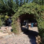 ΚΑΦΕ-ΜΕΖΕΔΟΠΩΛΕΙΟ-ΓΕΩΡΓΙΟΥΠΟΛΗ-ΧΑΝΙΩΝ-ΜΑΥΡΟΜΟΥΣΤΑΚΟΣ