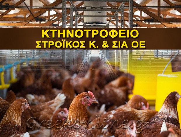 ΚΤΗΝΟΤΡΟΦΕΙΟ ΓΑΛΑΤΙΣΤΑ ΧΑΛΚΙΔΙΚΗΣ  ΣΤΡΟΪΚΟΣ Κ. & ΣΙΑ ΟΕ