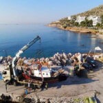 ΓΕΡΑΝΟΜΕΤΑΦΟΡΕΣ-ΚΟΡΩΠΙ-ΓΕΡΑΝΟΙ-ΜΠΑΛΤΑΣ-ΚΩΝΣΤΑΝΤΙΝΟΣ